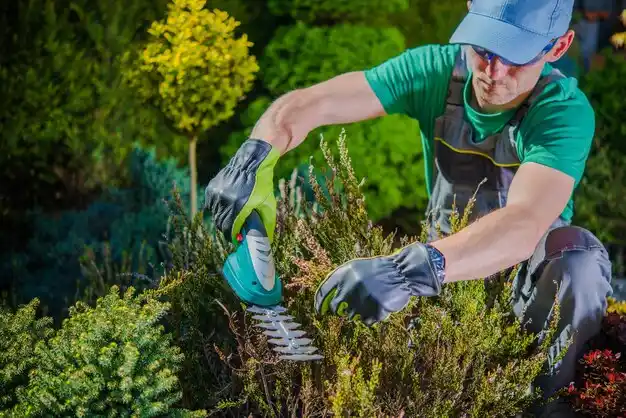 landscaping services Belle Rose